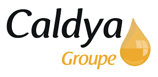 logo-caldya-group